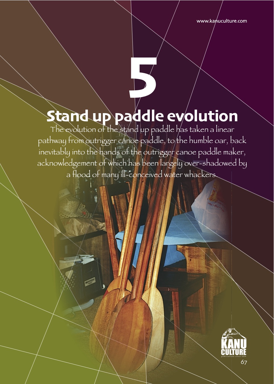 5. PADDLE Evolution.jpg