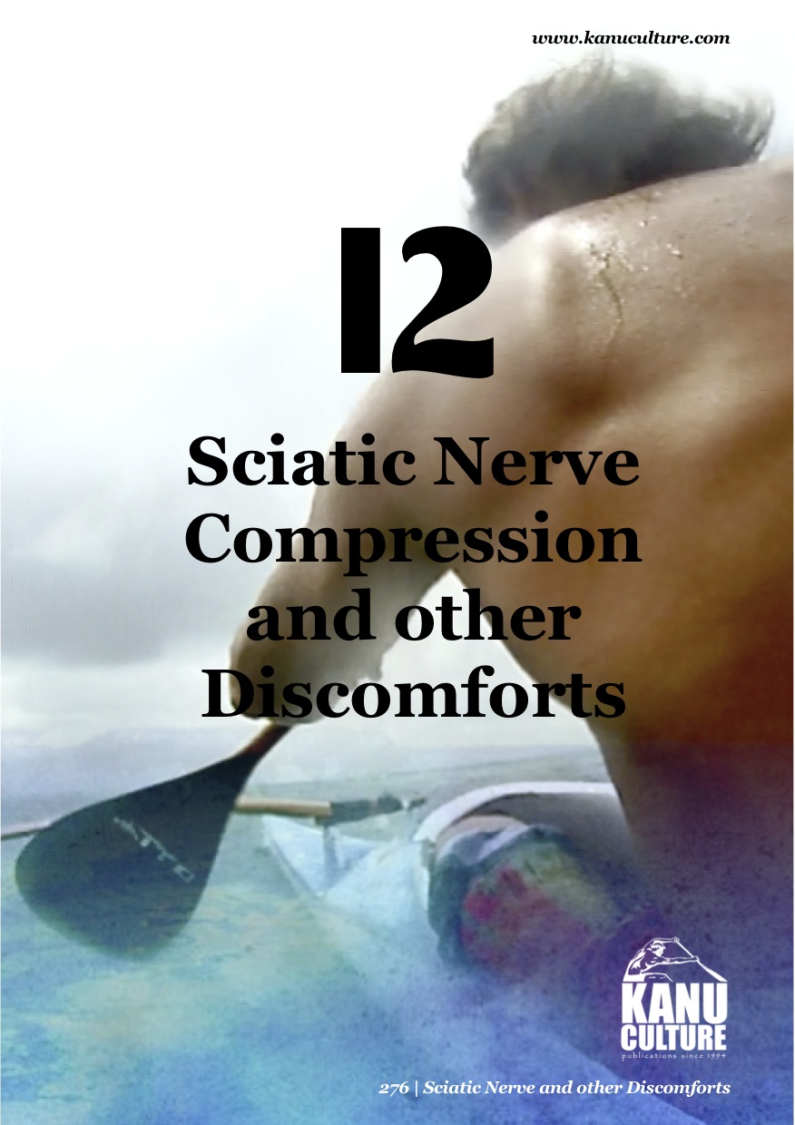 Preview of “13. Sciatic Nerve copy”.jpg