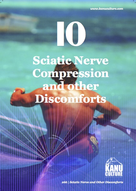 11. Sciatic Nerve.jpg