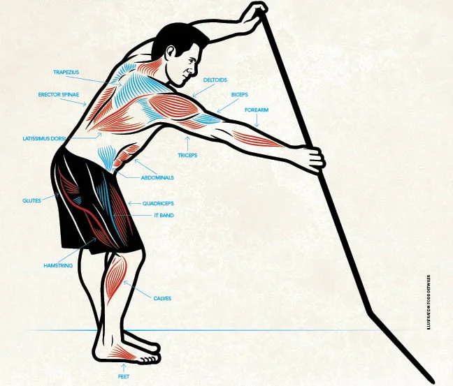 sup-muscles.jpg