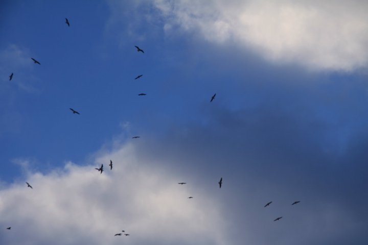 Skies in Switzerland ... true blue ... 