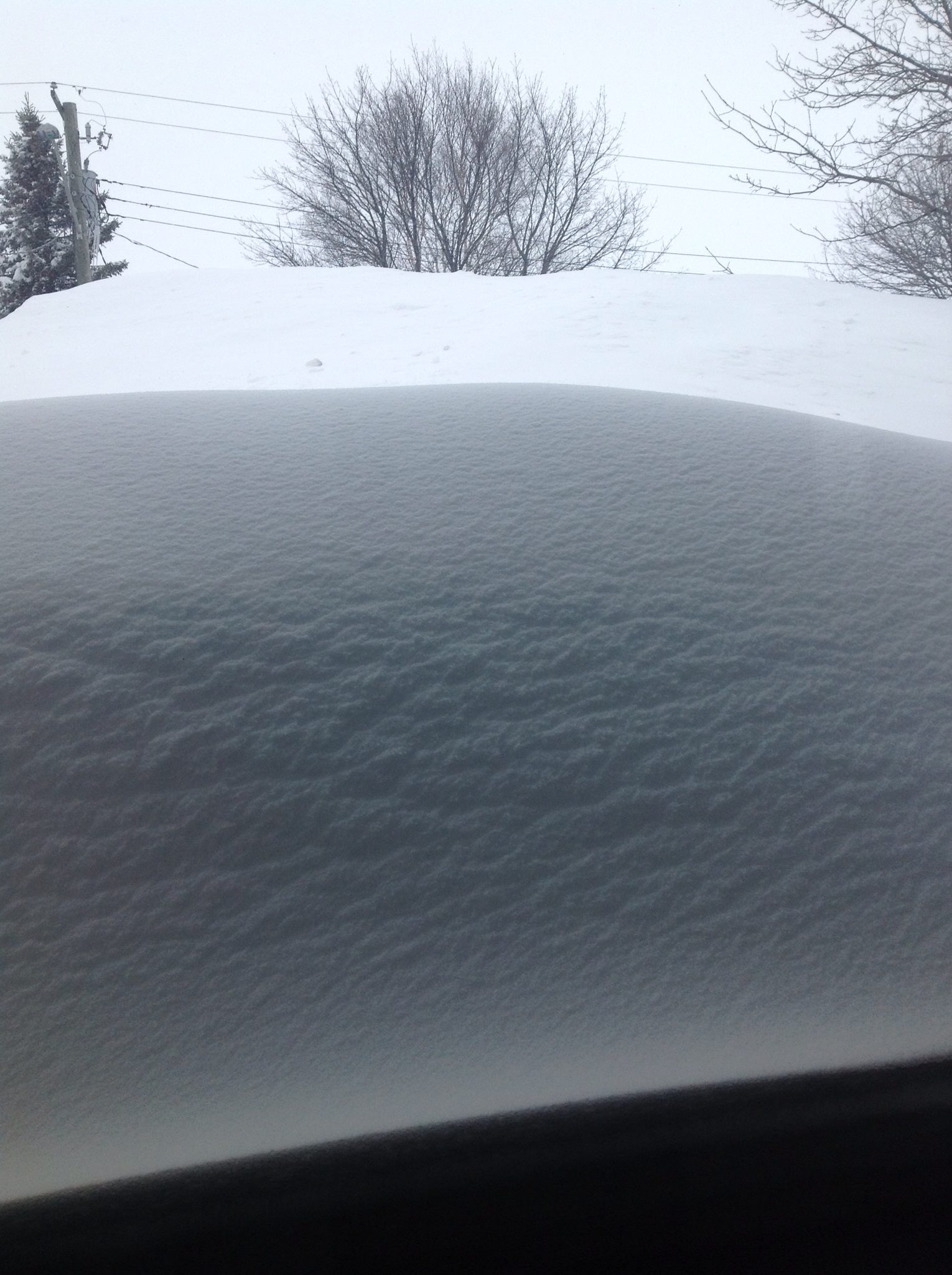 No, this isn't Doha. This is a pic from my friend's living room window in Northern New Brunswick on April 1, 2014. APRIL FIRST!!!!!! Those are telephone and power lines in the background. Having gone from that extreme to the harsh desert, I'm hopeful that some future assignment might see us halfway weather wise, maybe on the French Riviera or something!