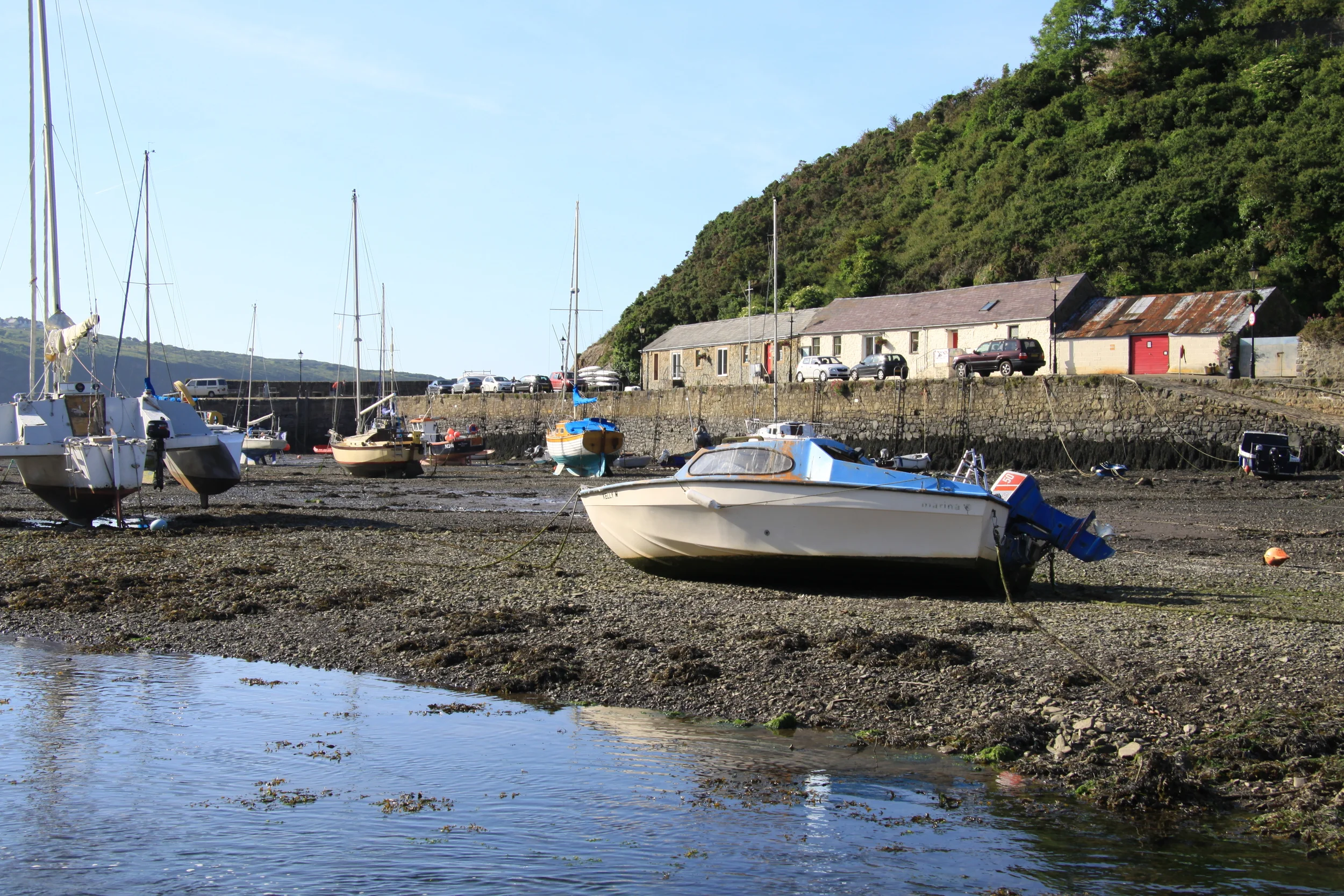 Fishguard.... low tide.