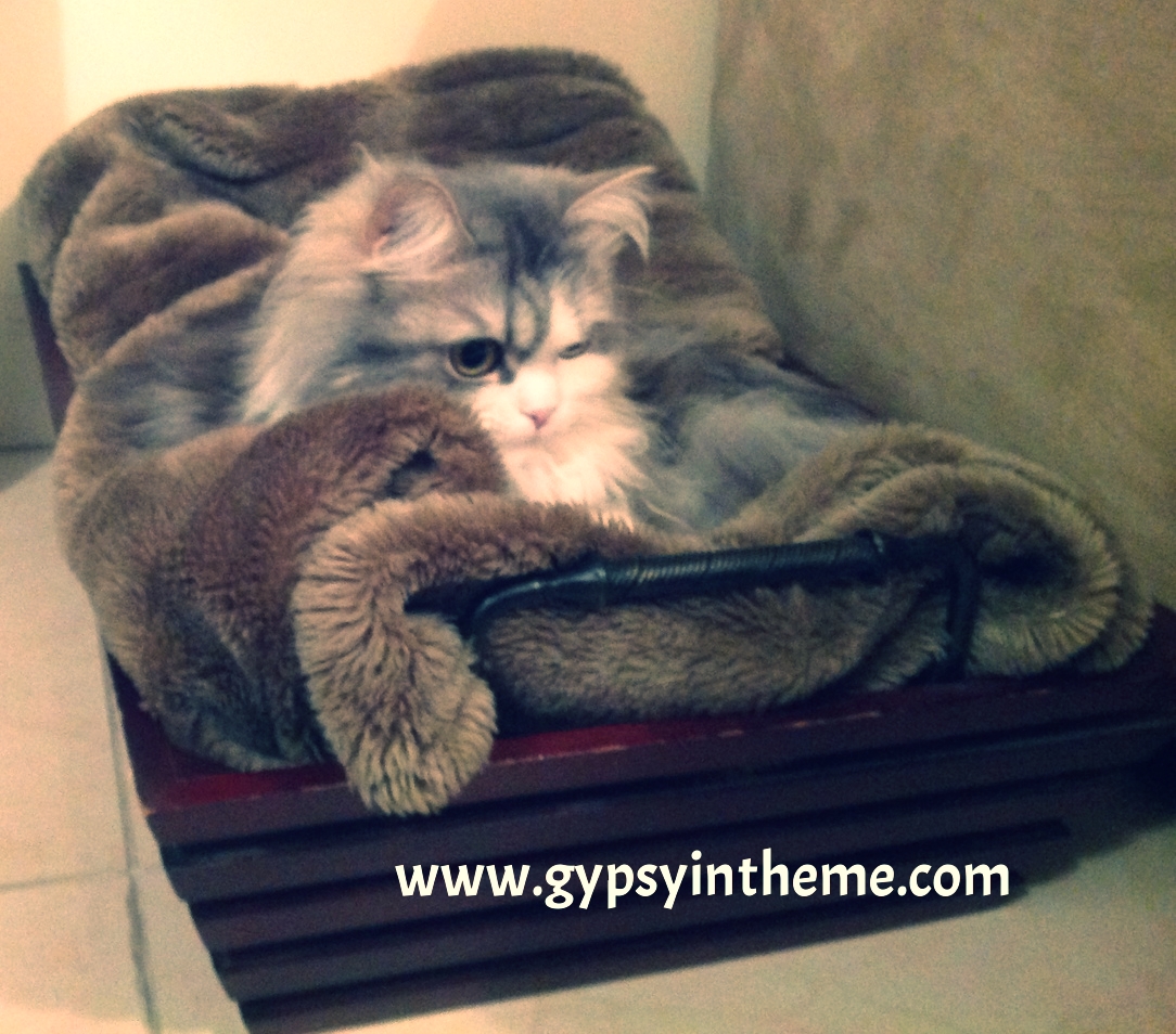 The deceivingly sweet instigator of weekend woes ...