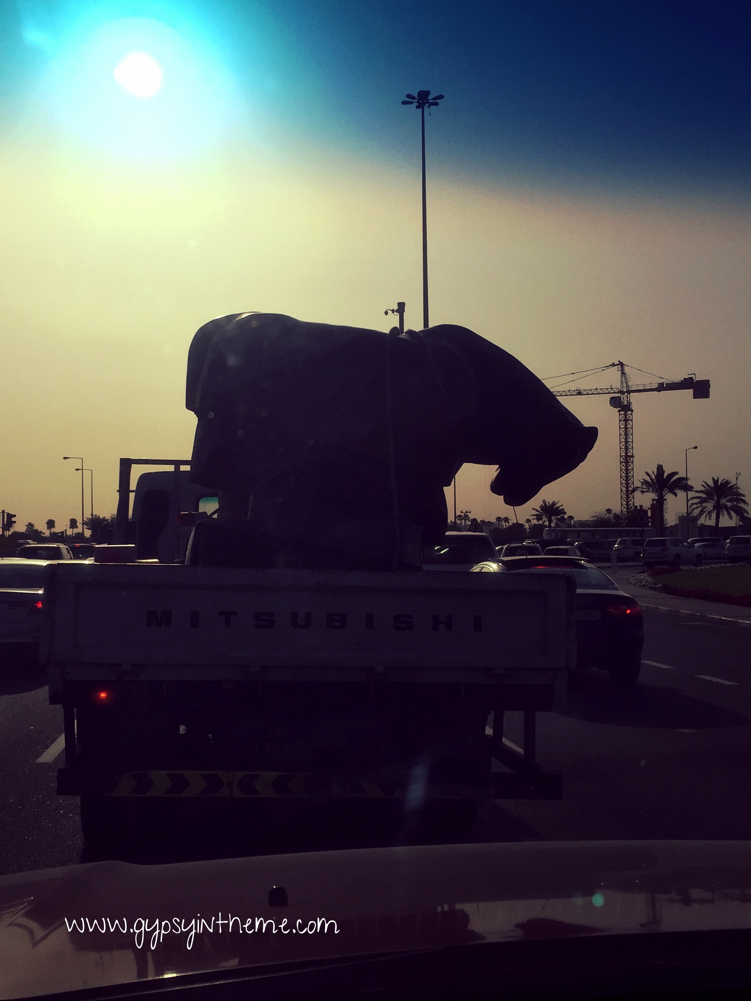 Random bucking bronco in the back of a pickup truck in the Middle East ...