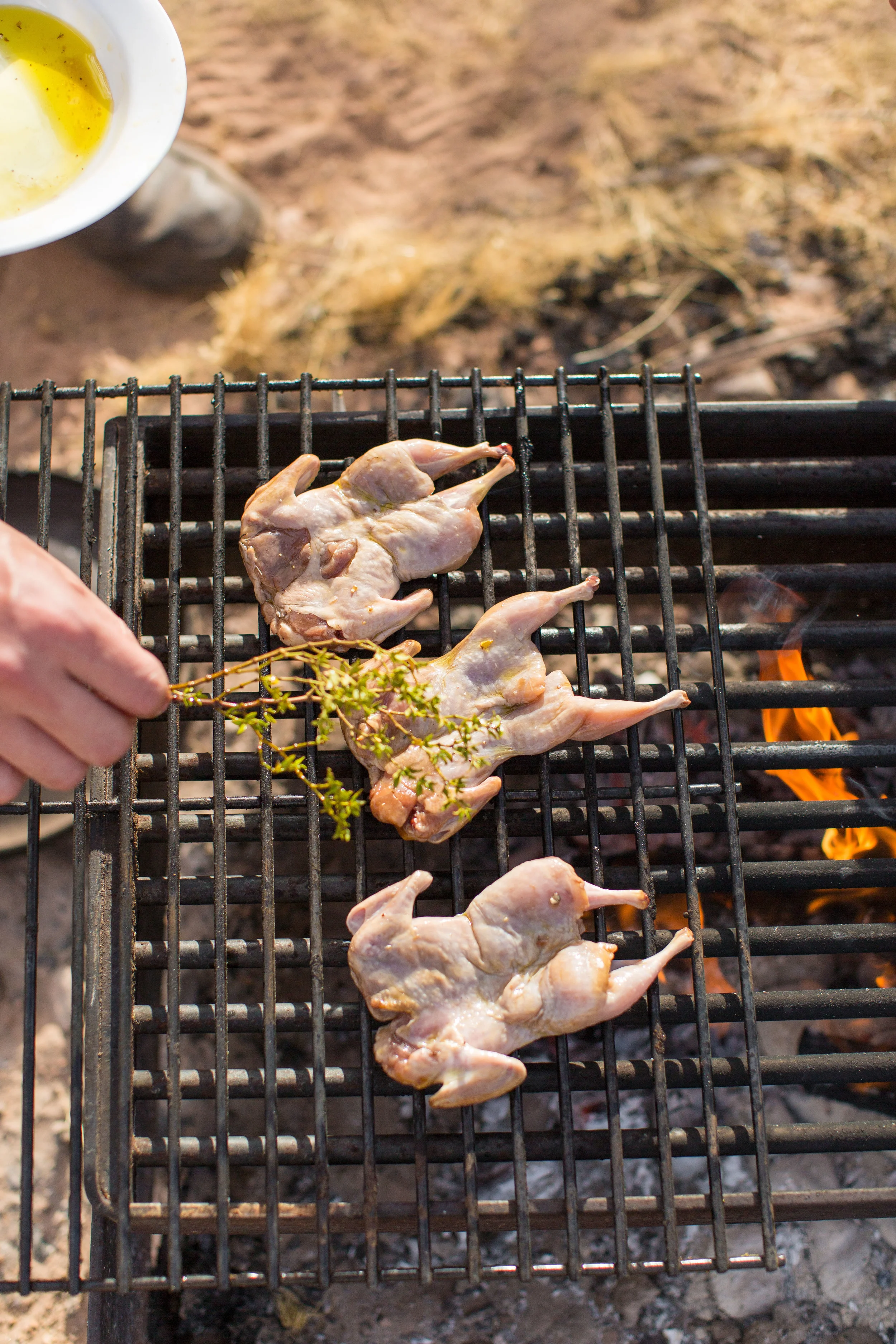 ElanCampingshotjune2014 (20 of 72).jpg