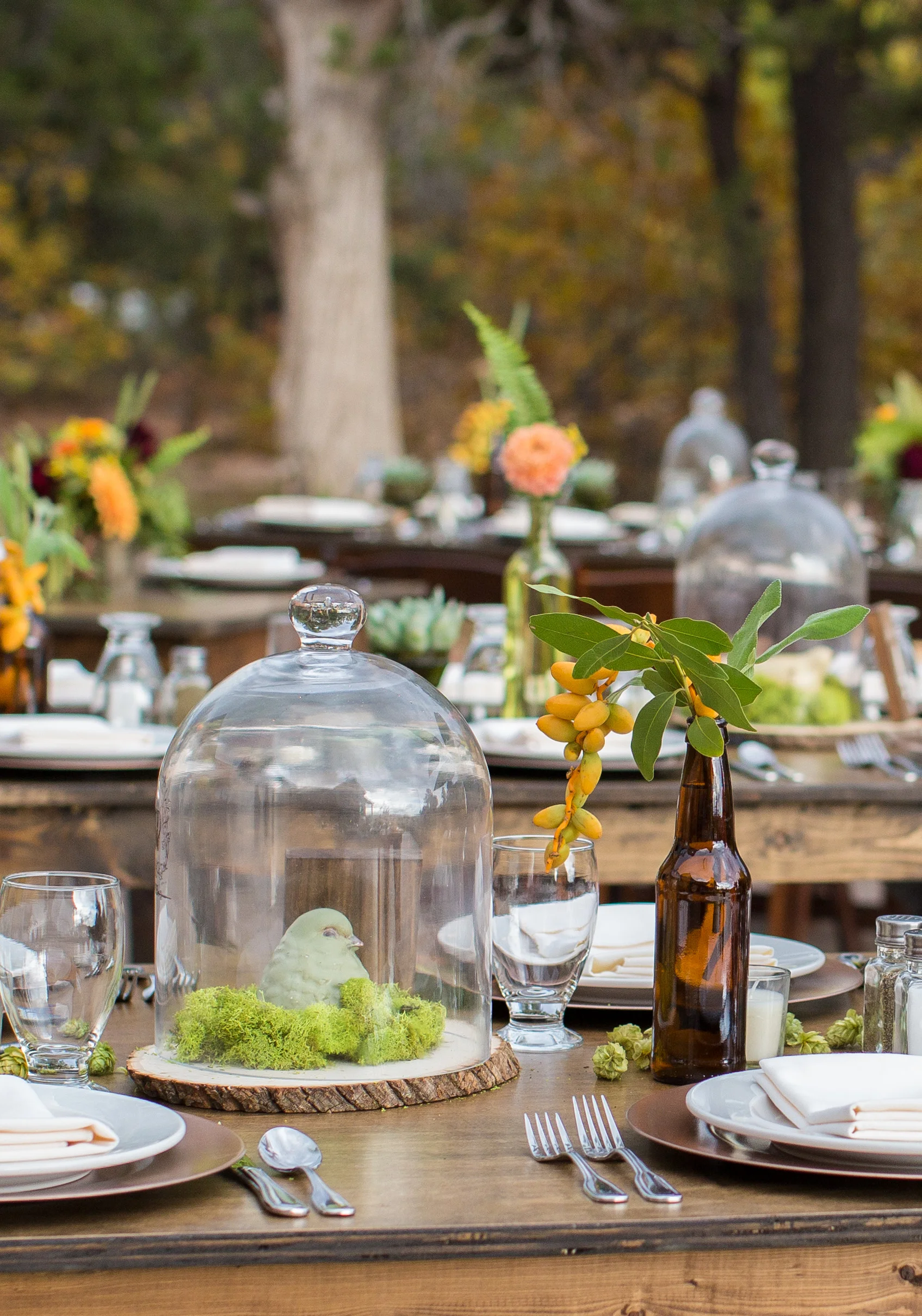 MorganCarsonWeddingZion2014 (88 of 642).jpg