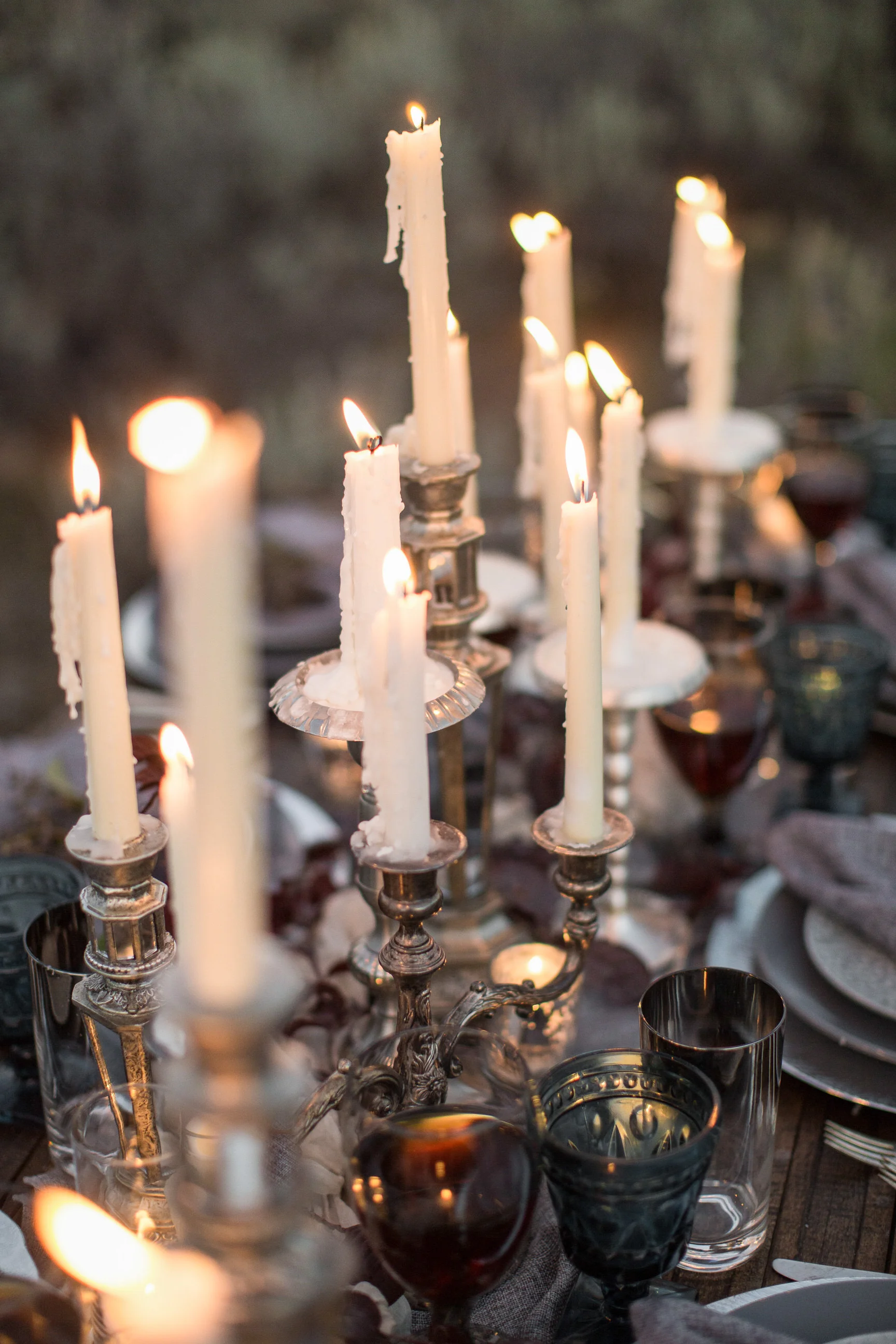 Zion National Park The Candle Bride — Tyler Rye Photographer