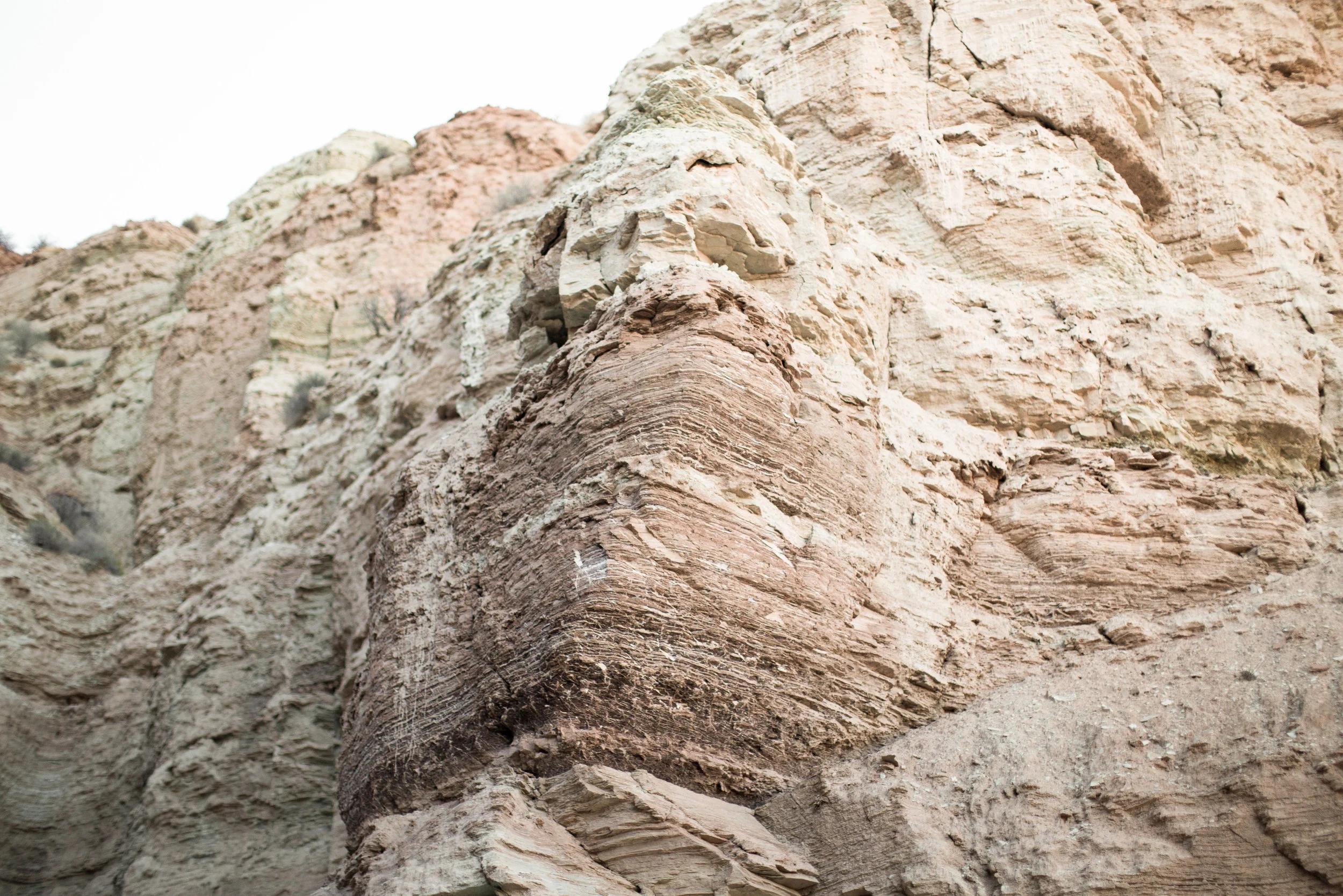 nativeshoot (5 of 77).jpg