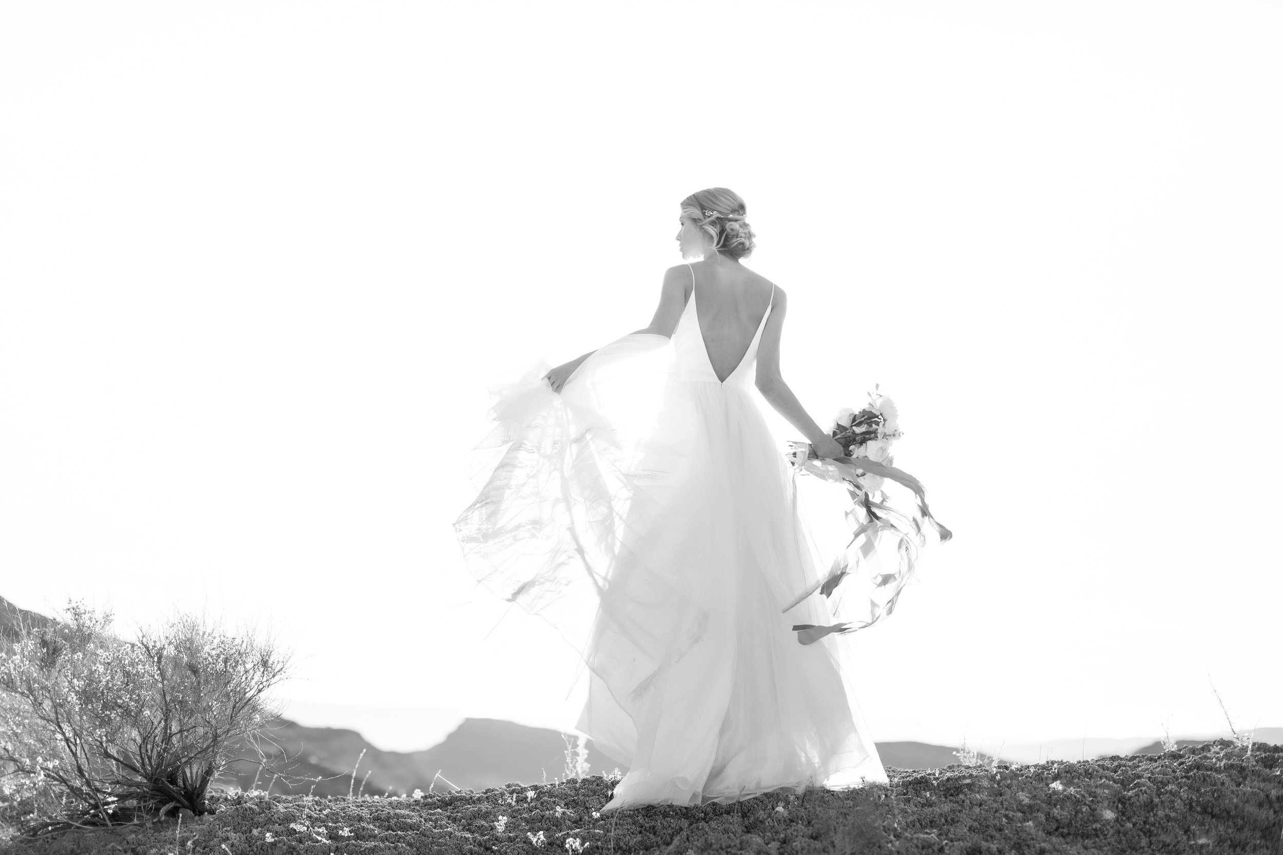 Desert Bridals — Adventure Elopements with Tyler Rye Photography