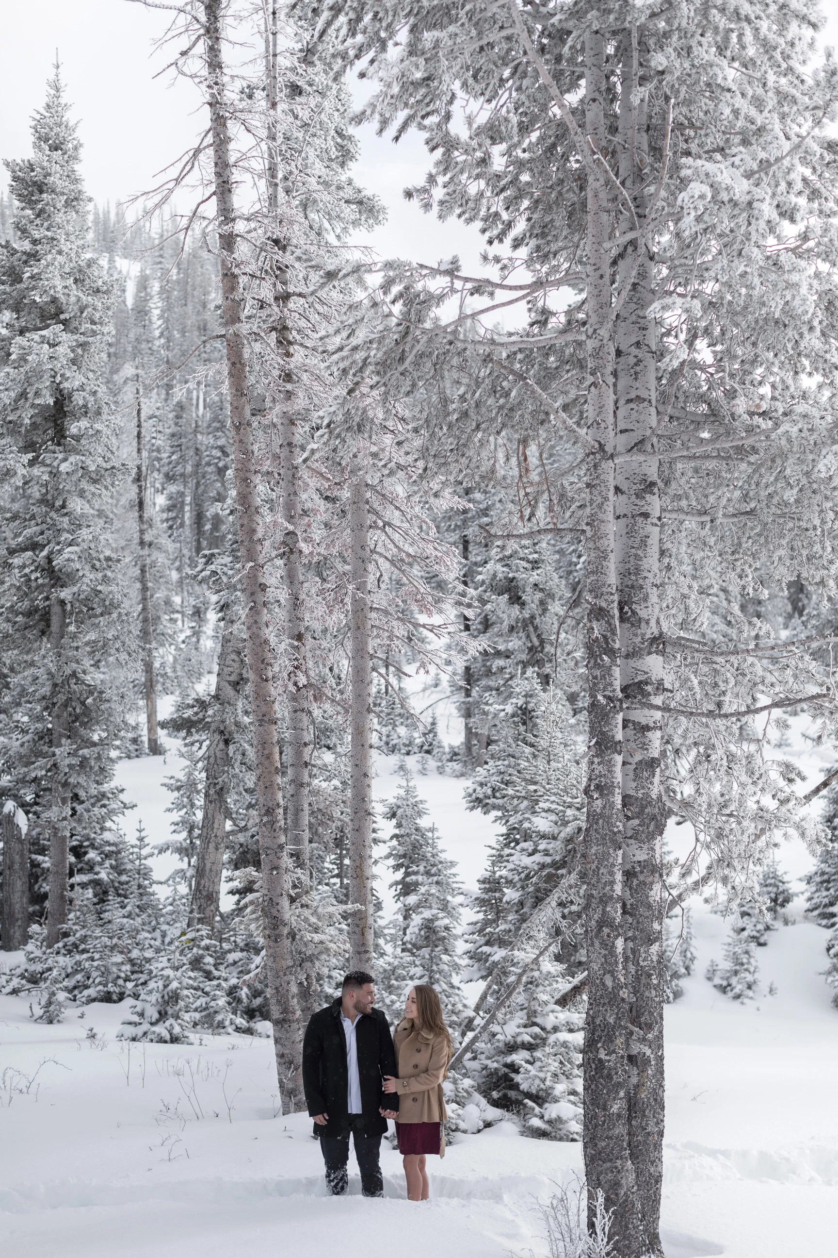 AmberlynGeorgeEngagements (25 of 73).jpg