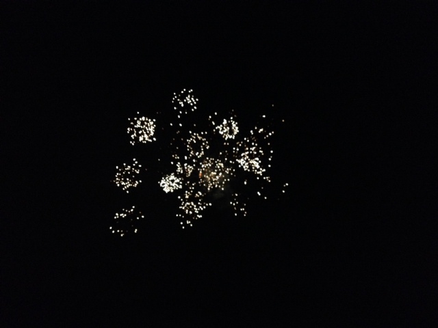 fireworks pictures.jpeg