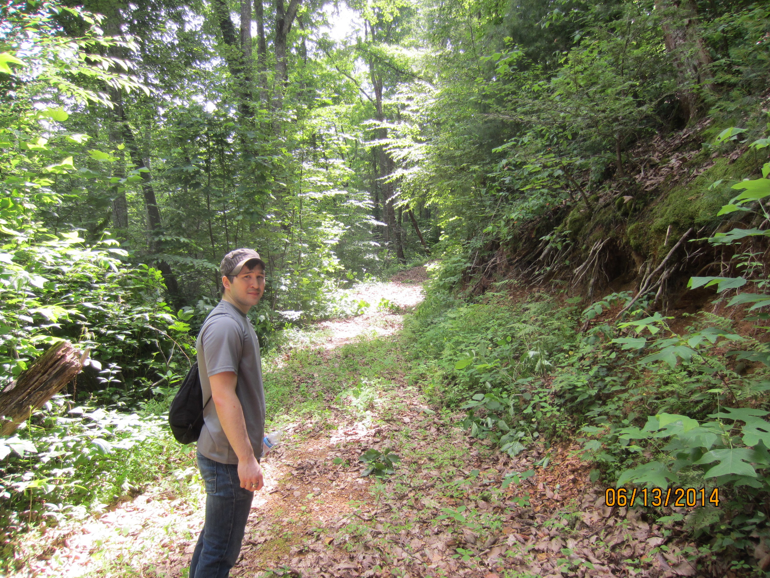 Horse trail prepared for beginning of Camp Arrowwood.