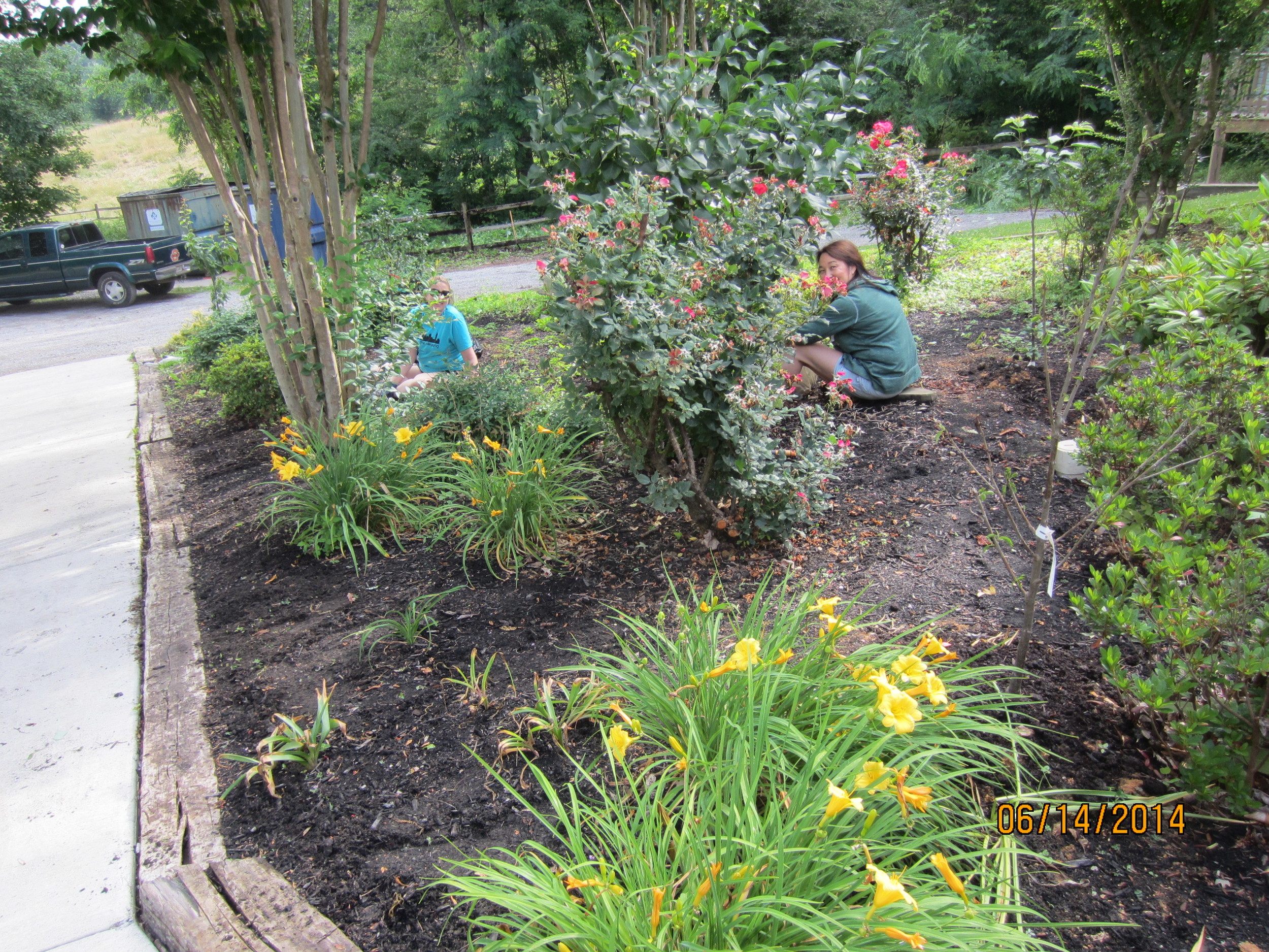 Lauren Pearle and Nellie More continue weeding, getting this bed ready for mulch.