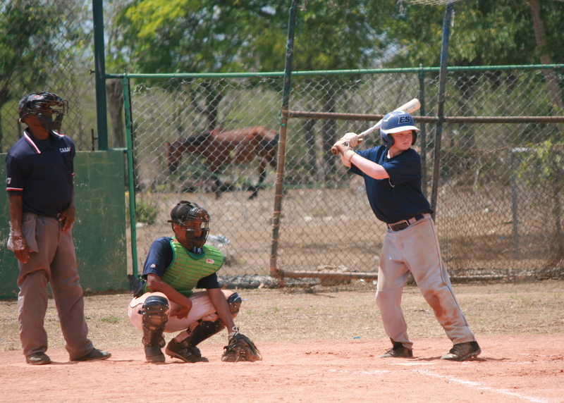 Herlitz bats in front of a full-stable