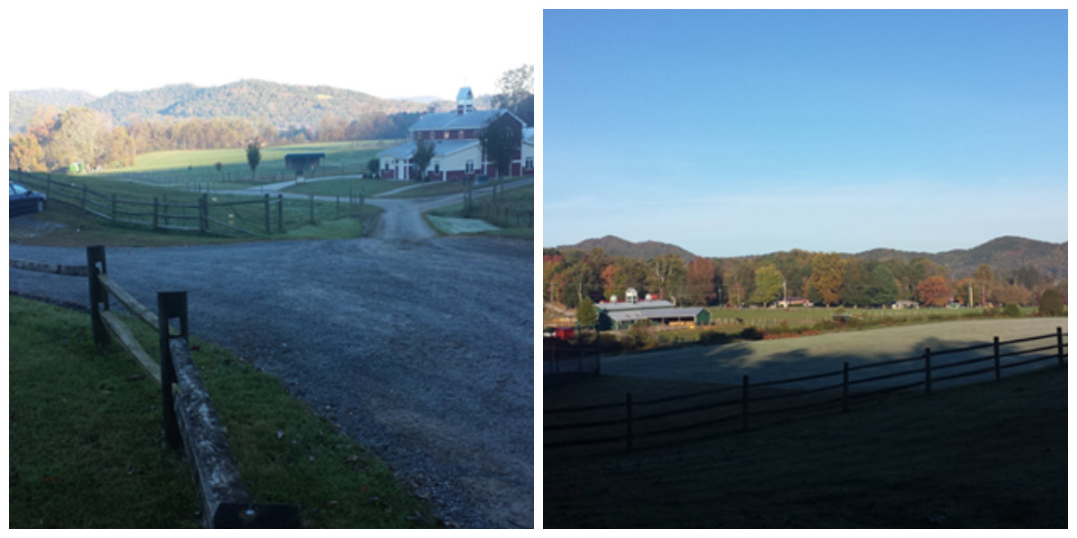 Early morning ... a bit of nip in the air but we just bundled up and got busy working.