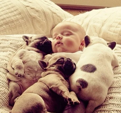 Not much is better than a cute baby or puppies. Put them together? GENIUS!!