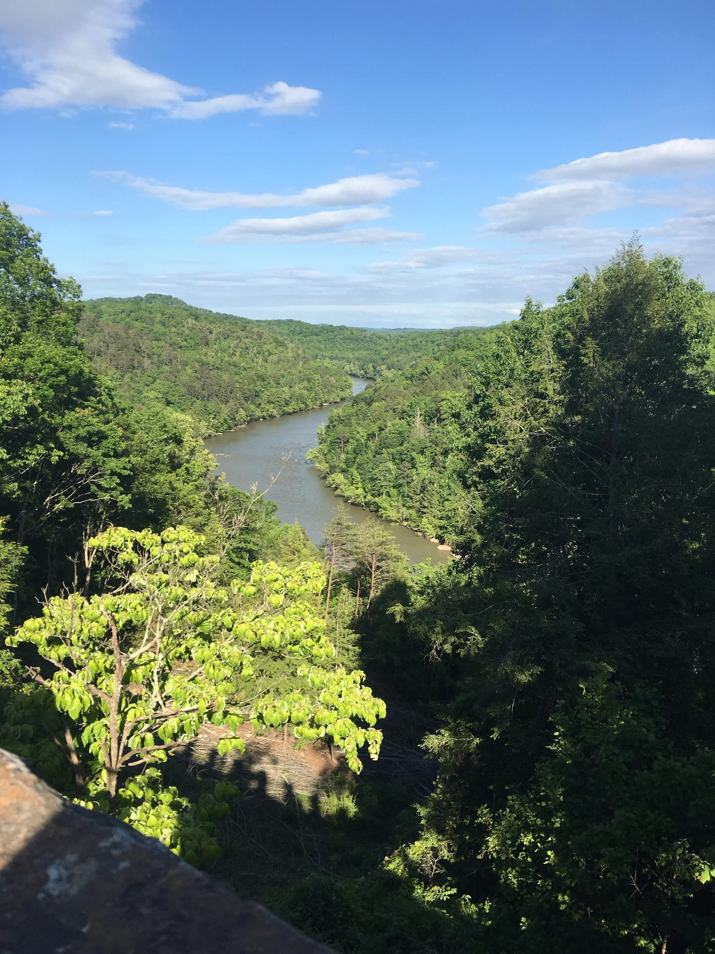 Clearly the lodge has some great views!