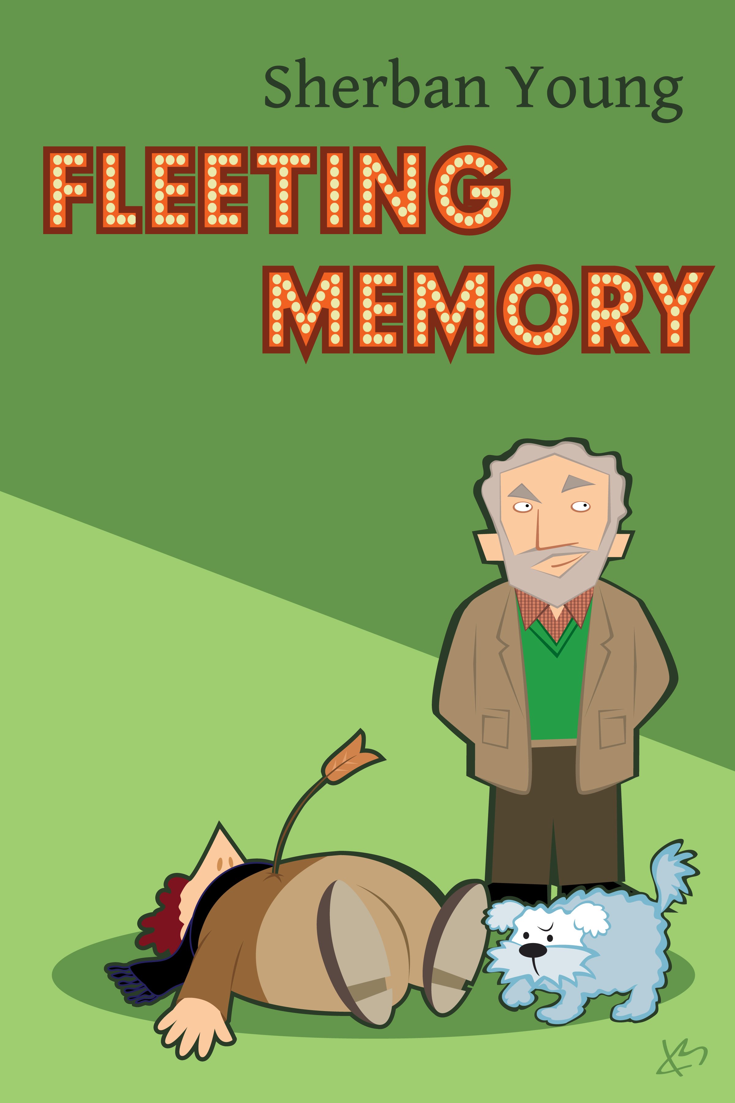 fleeting memory