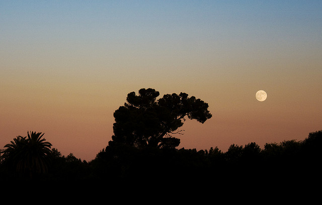 Californian Moonrise