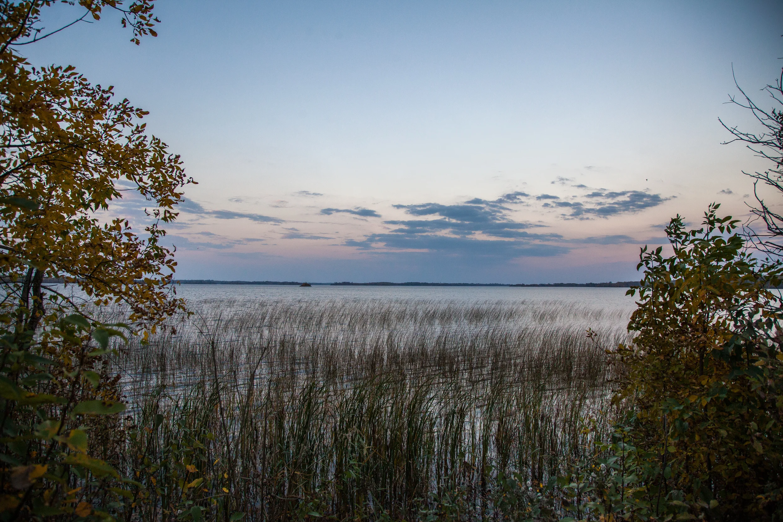 Indian Bay, the part of Shoal Lake that the City of Winnipeg draws its water from.