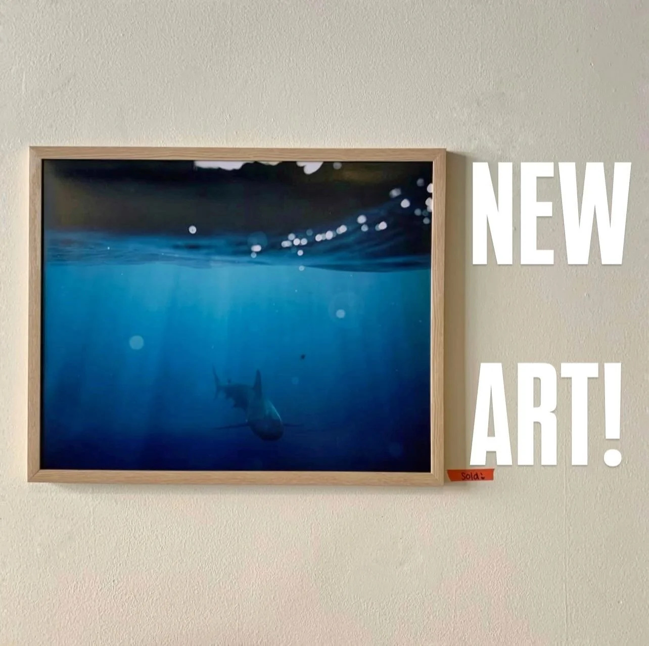 Come check out the new collection of photographs by our very own Maggie. Taken in the warm waters of Hawaii and Fiji&hellip; far away from this bitter cold. Come take a look and warm up!  #cafevolan