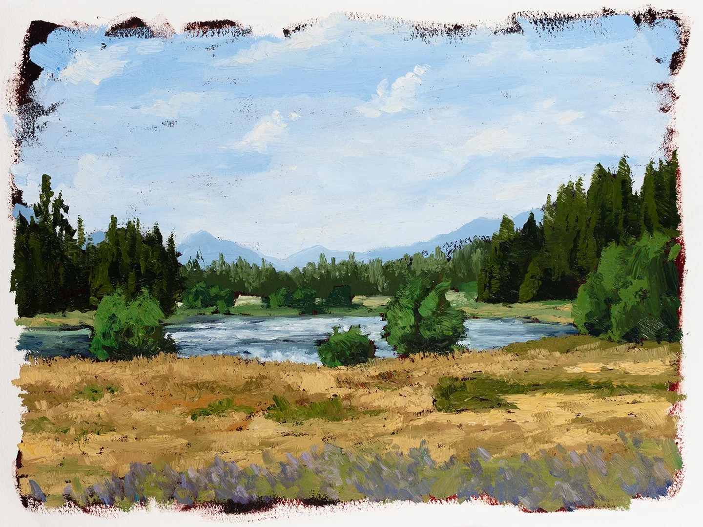 Hidden Meadow, Glacier National Park - 2024, oil on paper, 12" x 16"