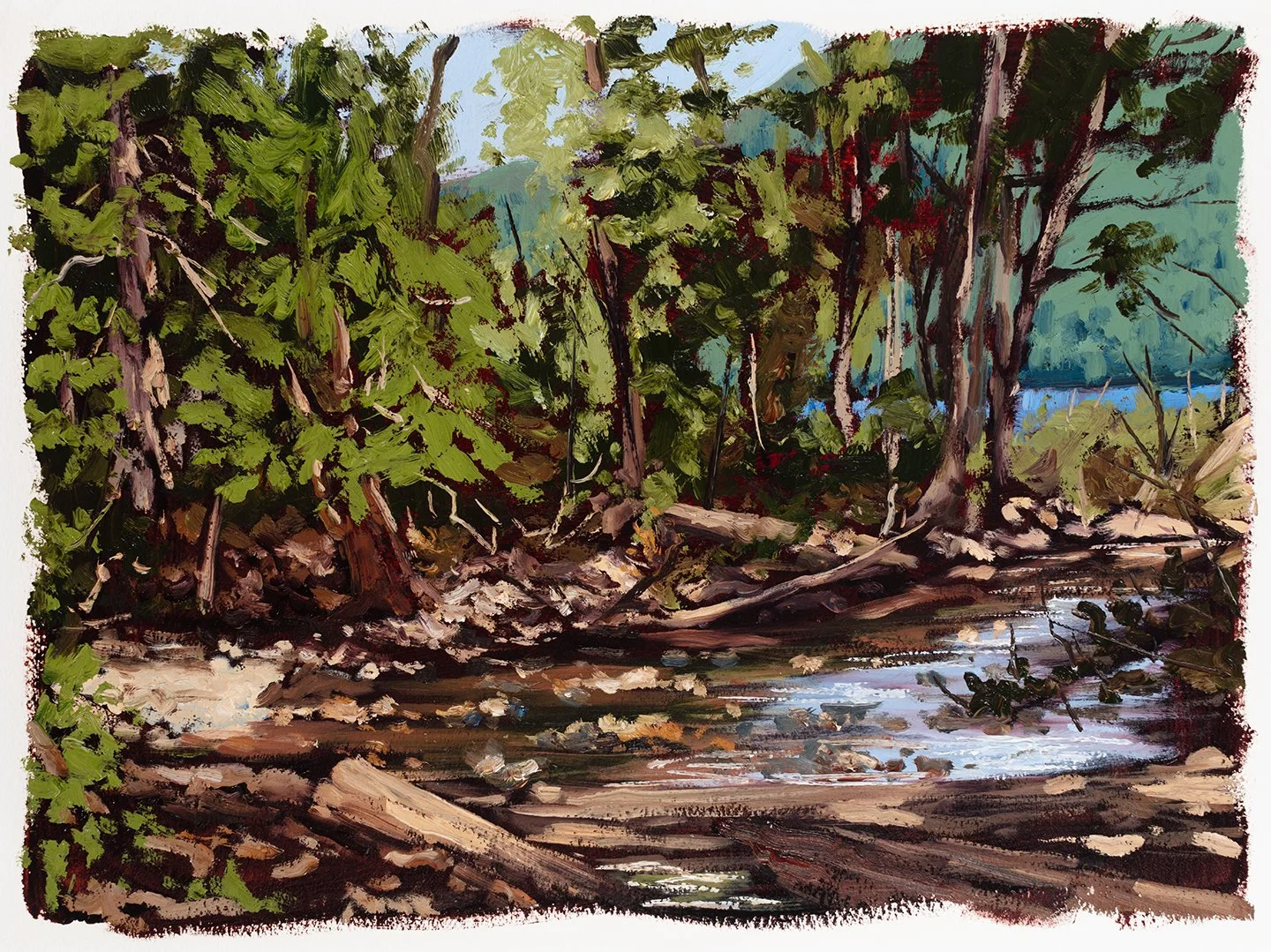 Fish Creek, Glacier National Park - 2023, oil on paper, 12" x 16"