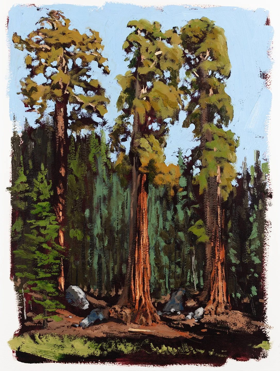 Big Trees Trail, Sequoia National Park - 2025, oil on paper, 16" x 12"
