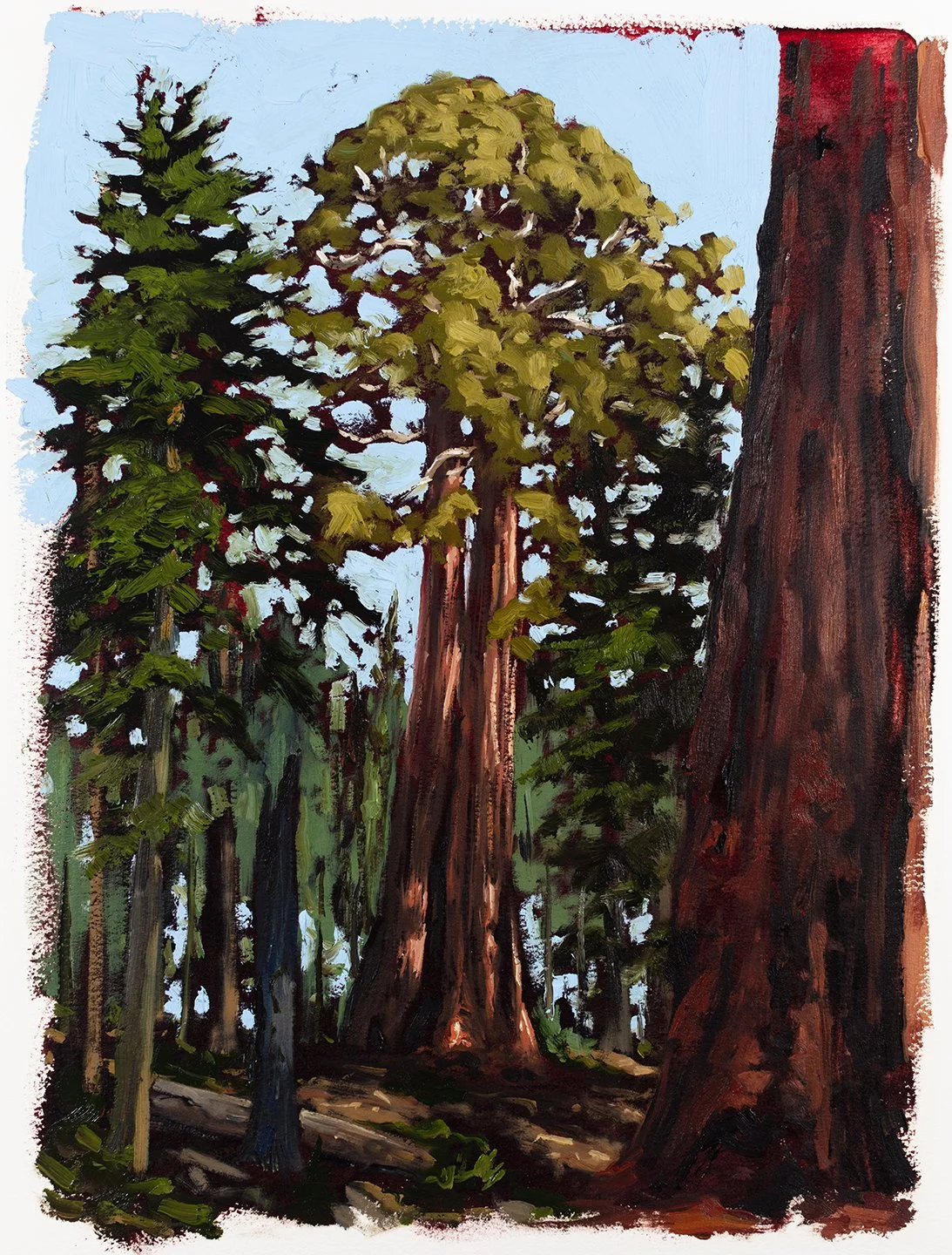 North Grove Loop, Kings Canyon National Park - 2025, oil on paper, 16" x 12"