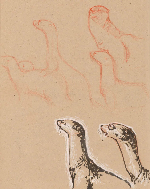 otters.jpg