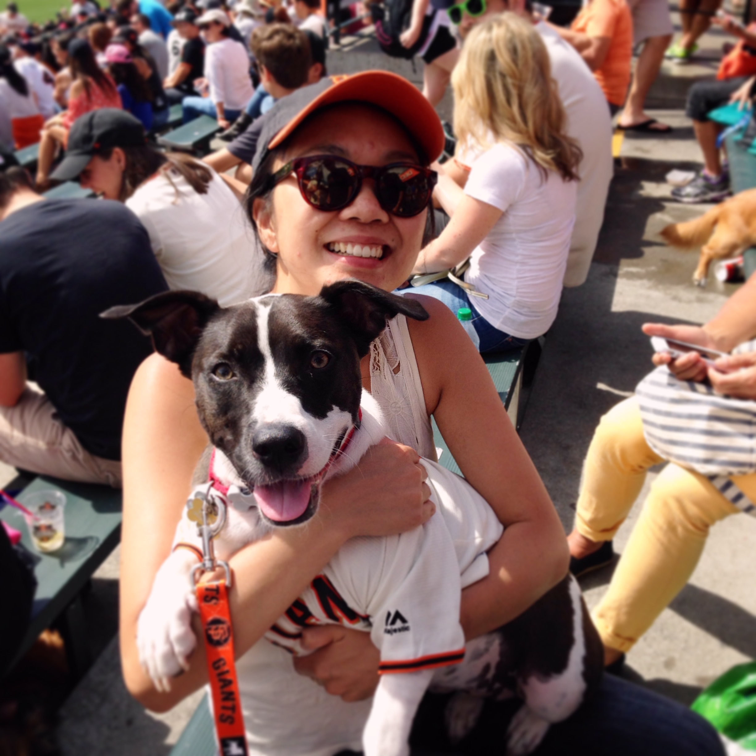 That's me and my dog Maddie at Dog Days of Summer . Go Giants!