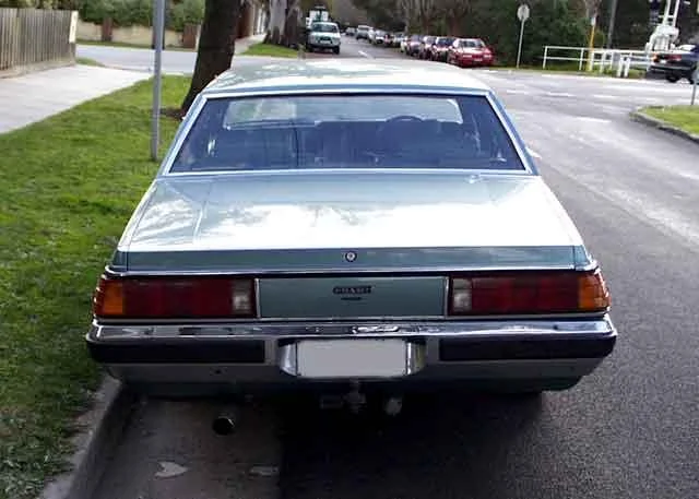 17b-WB-caprice-02.jpg