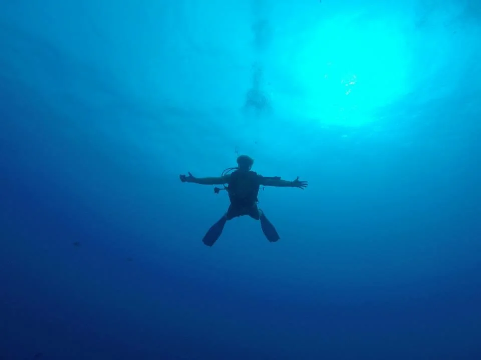 teddivepic.jpg