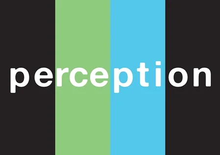 Perception: Thursday 6th June 2013, Time & Room TBC
