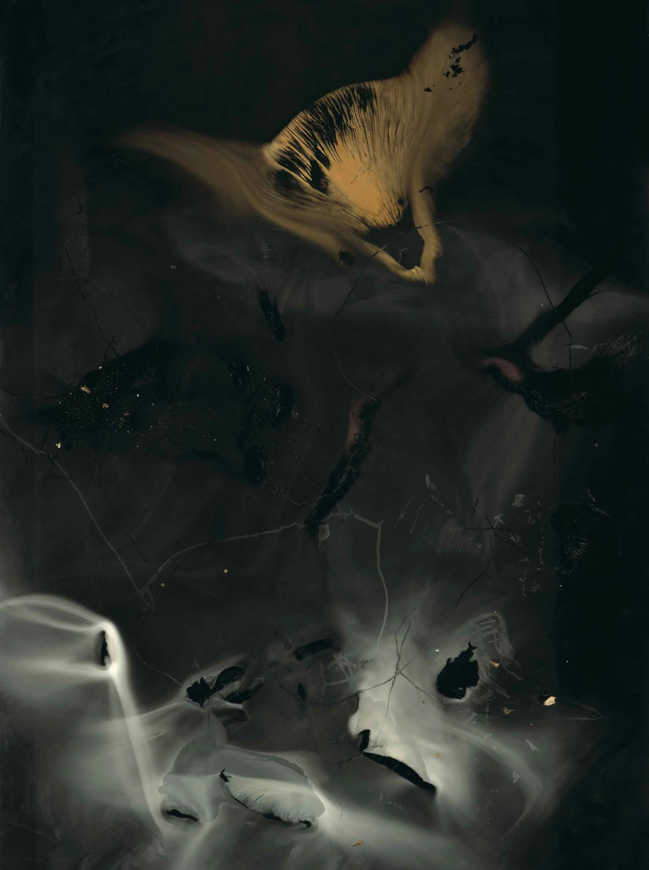 Petite Mort IVs.jpg