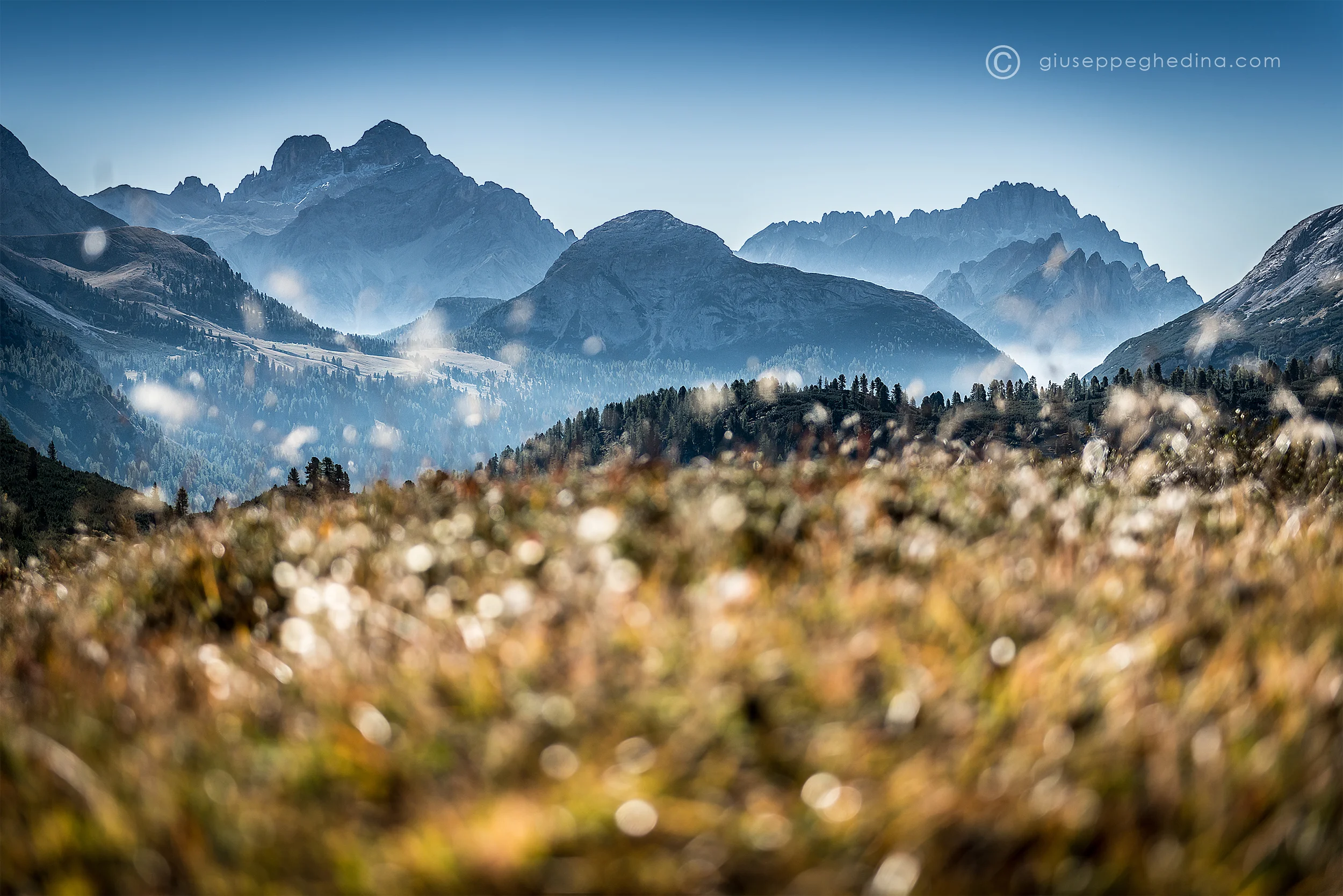 Dalla Val Salata verso il Cristallo, la Croda d'Ancona e il Sorapis.