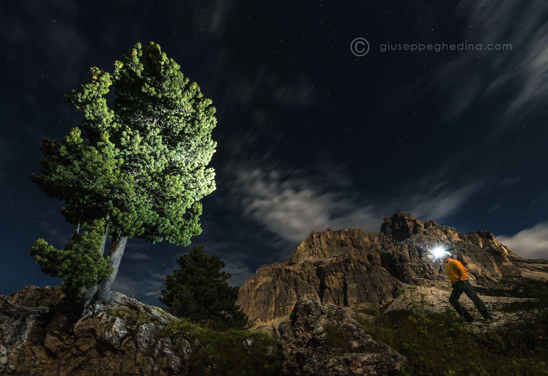 Cirmolo al Passo Falzarego.