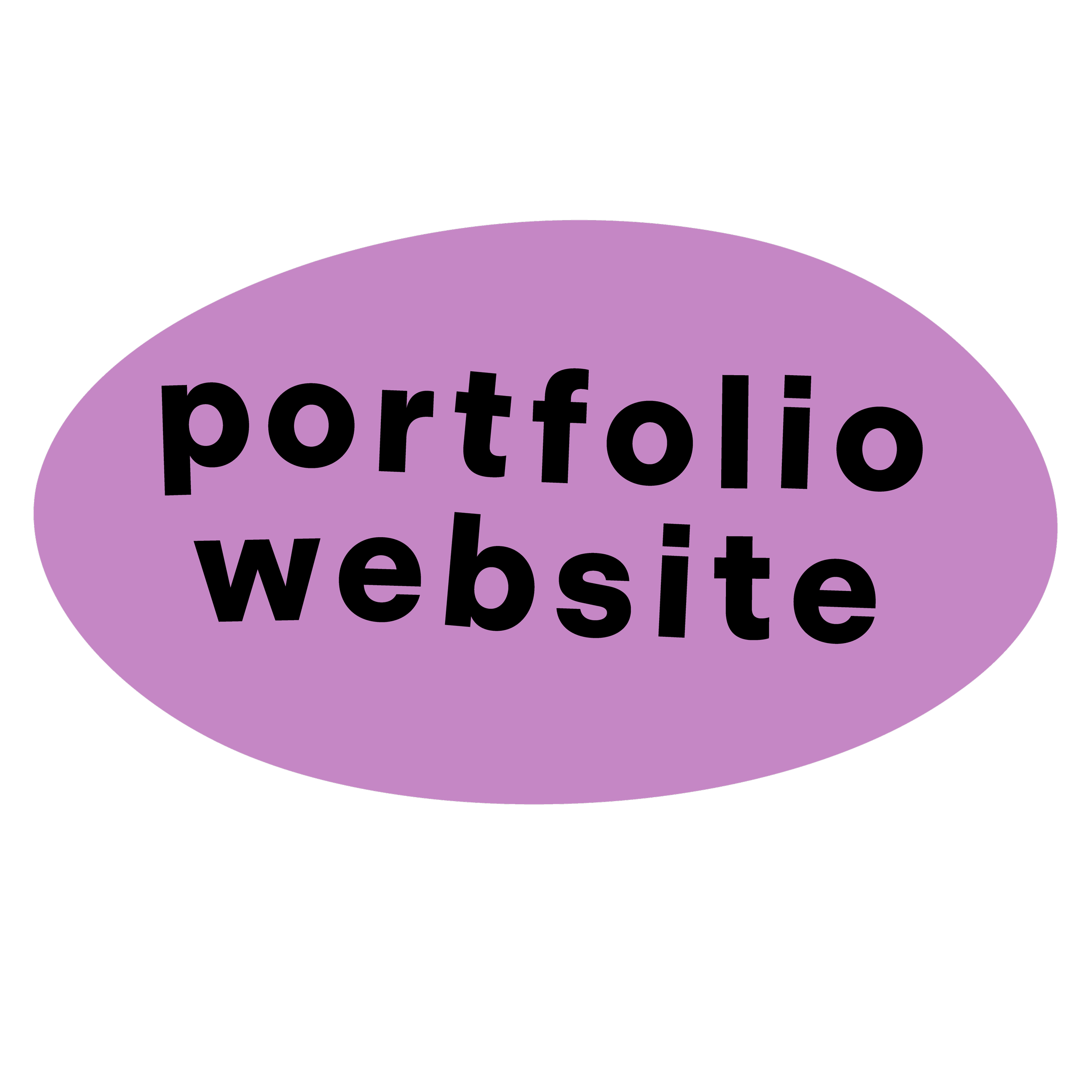 portfolio website link