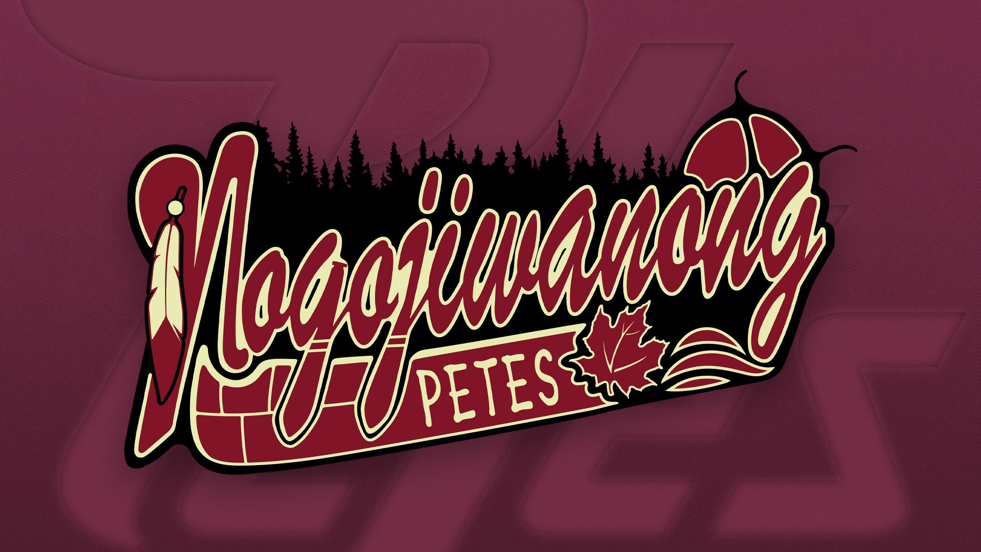 The Peterborough Petes will recognize Indigenous heritage and culture Thursday night when they host the Sarnia Sting at the Peterborough Memorial Centre.