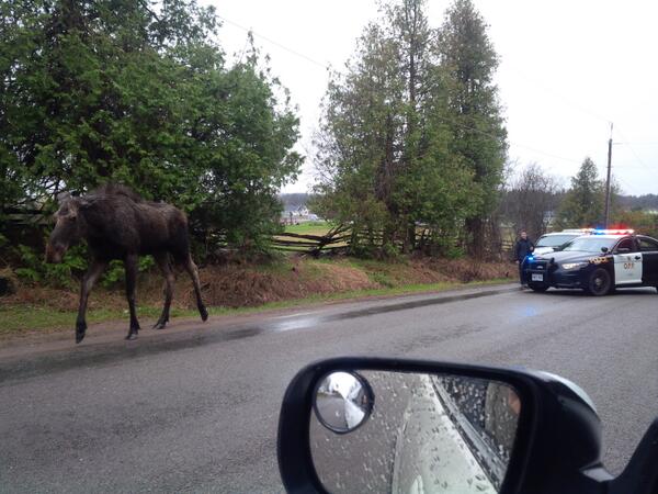 Picture via @alex_bushell on Twitter