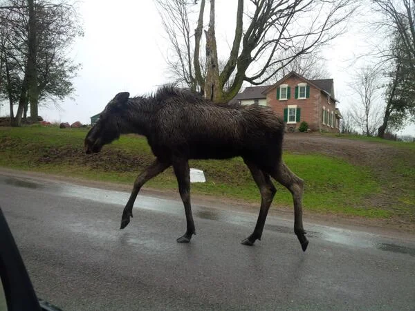 Picture via @alex_bushell on Twitter