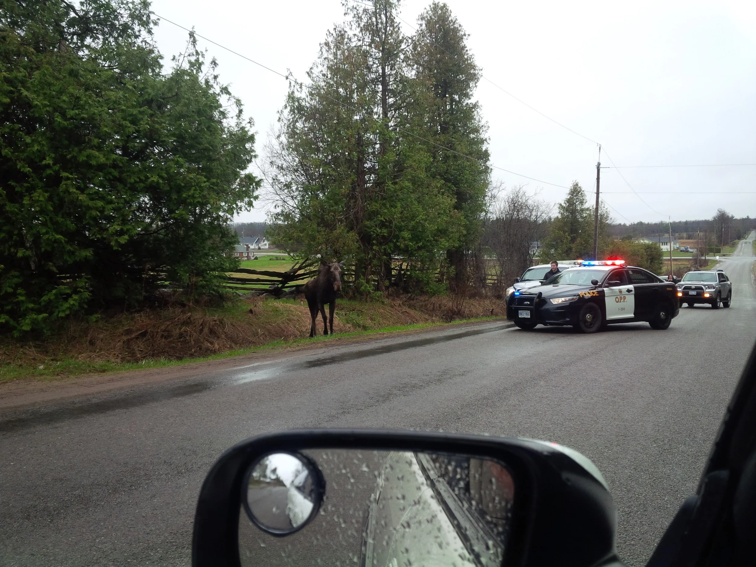 Picture via @alex_bushell on Twitter