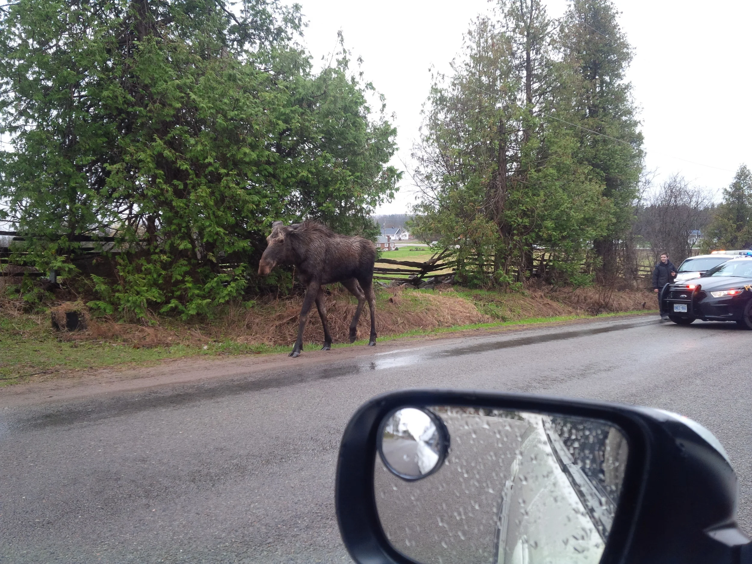 Picture via @alex_bushell on Twitter