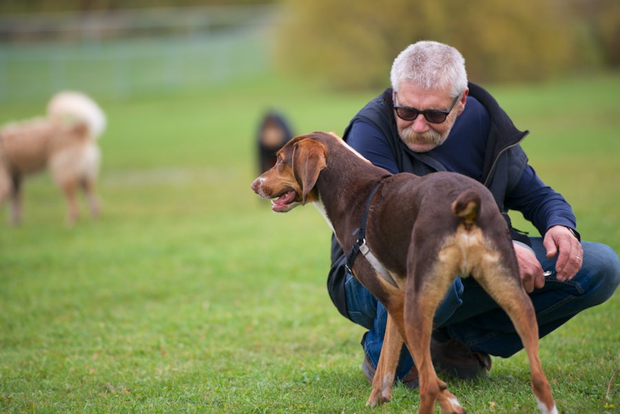 PtboDogParkGrandOpening19.jpg