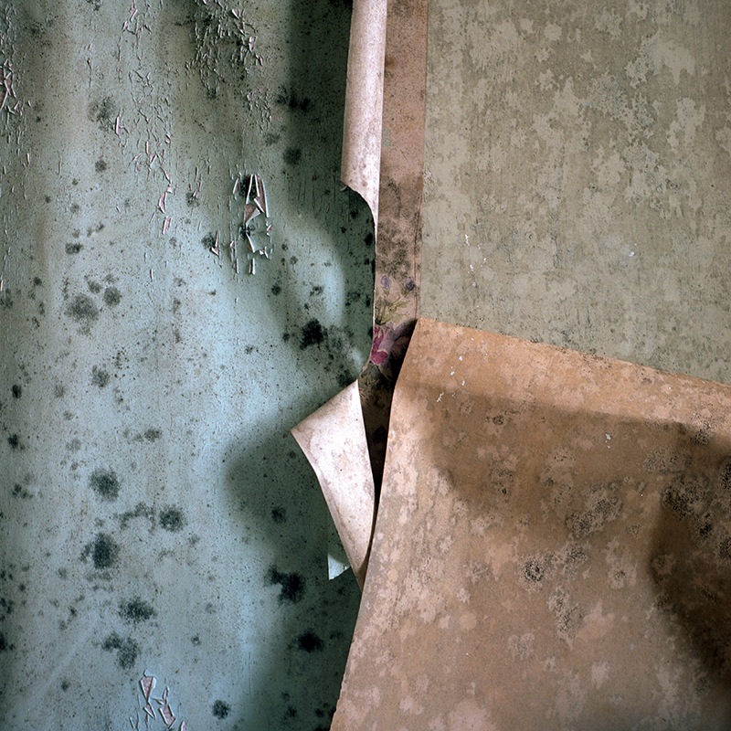 Julie Douglas