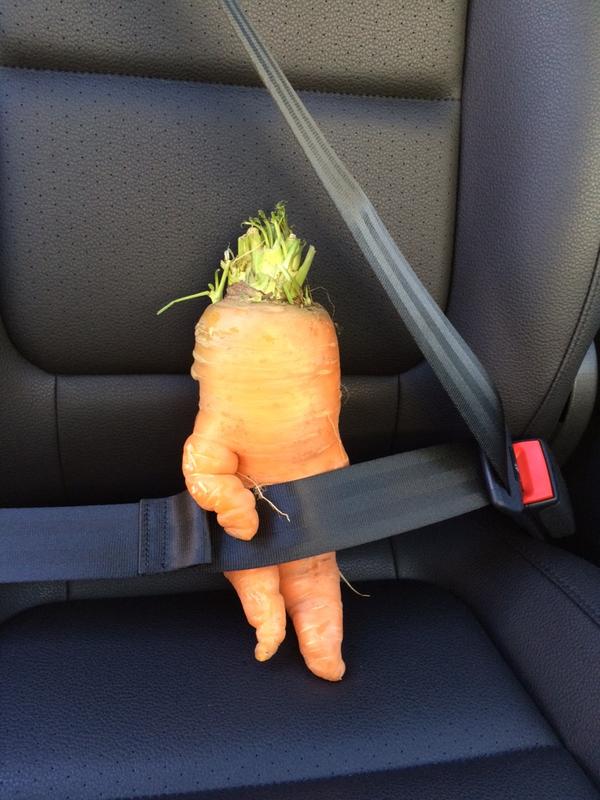 Safety (Carrot) Dance