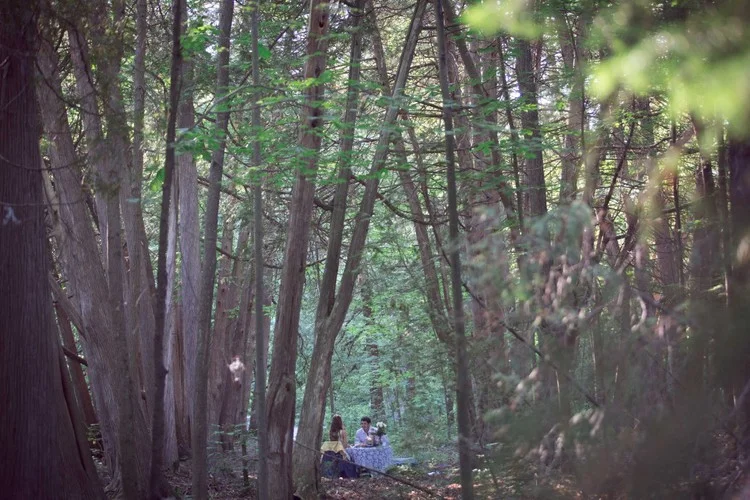 14 Great Romantic Spots In Peterborough