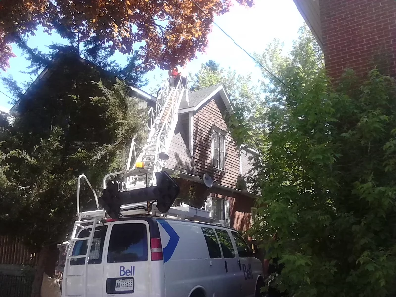 A Couple Guys From Bell Canada Just Saved A Peterborough Cat Stuck On A Roof For Days