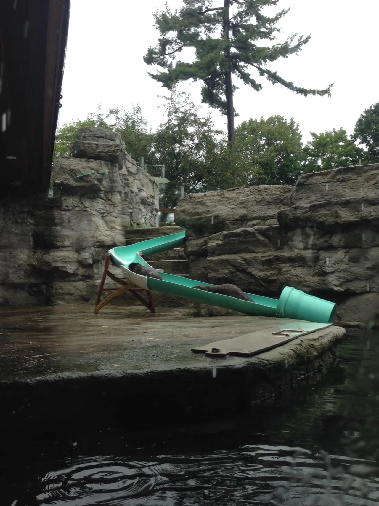 photo by Emma Whitehouse